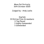 Result summary Mono Pet Portraits