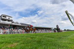 260826-Race 1-Mugheer-6307