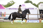 Class 92-93 - LIHS BSHA Rising Star Cobs portfolio