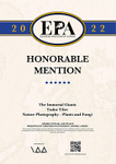 European Photography Awards_Nature_Plants and Fungi