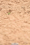 230507A-143718-08442