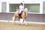 SBM_008339