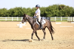 SBM_007529