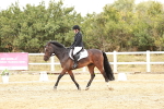SBM_003614