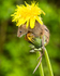 20140405-3K8A9847