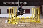 BPP_8255