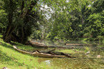 Moat at Preah Khan temple, Cambodia
