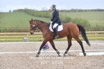 BPP_8898