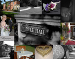 Main Page