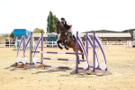 SBM_002772