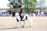 SBM_11379