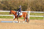 SBM_000654