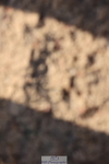 240629A-182021-09267