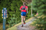 Glentress-9