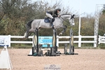 Cls 6 Foxhunter and 1.20m Open portfolio