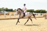 SBM_003550