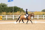 SBM_004383