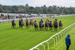 Race 2 2.05pm Fine Details Car Valeting Sprint Handicap portfolio