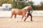 SBM_16315