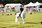 SBM_12678