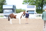 SBM_00263