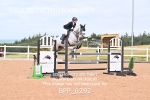 BPP_6292