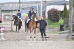 BPP_9532