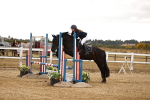 SBM_008118