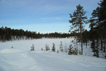 Toivoniemi area, Lappi, Finland
