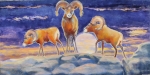 Original Paintings portfolio