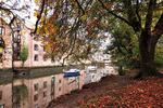 Autumn Reflections at Totnes