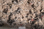 240706A-101936-00779