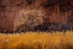 _DSC0860
