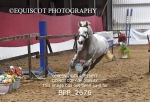 BPP_2676