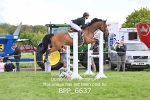 BPP_6637