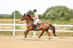 SBM_000291