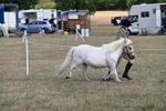 WJ6_6910
