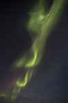 Aurora Borealis (Northern Lights) Iceland Ref NL3