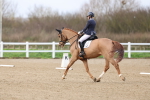 SBM_002448