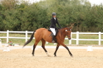 SBM_00979