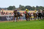 280726-Race 6-Azuinthejungle-1706