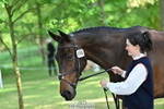 C-266-Izzi.Best-BROCKAGH.DOR portfolio