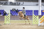 SBM_003960