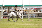 SBM_15782