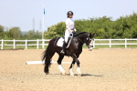 SBM_009033