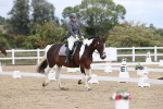 SBM_002993