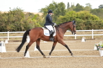SBM_008639