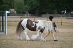 WJ6_7856