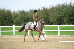 LAD_5496