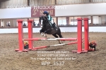 BPP_3537